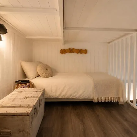 The Tiny Willow Boutique Tiny House In The Woods